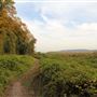 Palisades Interstate Park - Shore Trail