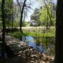 Brendan T. Byrne State Forest - Whitesbog Village Trails