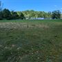 Large Grassy Field with Trees
