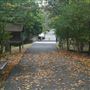 Haring Drive Footpath