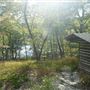 Camp Yaw Paw