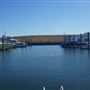 Carteret Marina