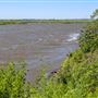 Laurel Hill Park