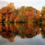 Pitman Waterways
