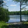 Turkey Brook Park - Maier's Pond