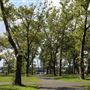 West Hudson Park