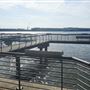 Michael J. Doyle Fishing Pier