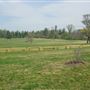 Princeton Battlefield State Park