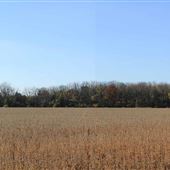 Sussex County Farm Roads - Creek Road, Green Township
