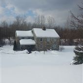 House #441