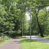 Branch Brook Park Lenape Walking Path