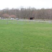 Chubb Park