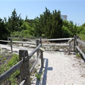 Island Beach State Park - Forked River Interpretive Center