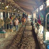Monmouth Park Stables