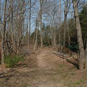 Fox Hill Reserve