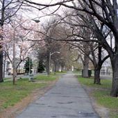 West Side Park