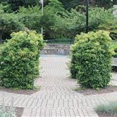 Verona Park - Children's Garden