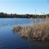 Malaga Lake