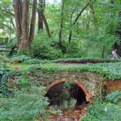 Bonnie's Bridge
