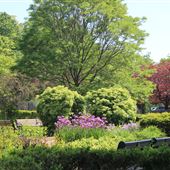 Green Spaces