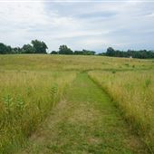 Dvoor Farm - Nature Preserve