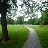 Mine Brook Park