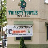 Thirsty Turtle