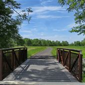 Arney's Mount Park