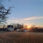 Peterson Farm