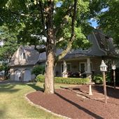 House #10261835