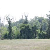 Tatum Park