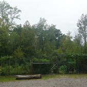 Old Tappan Community Garden