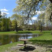 Pine Street Park