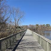 Cape May County Park East