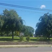 Pittman Park