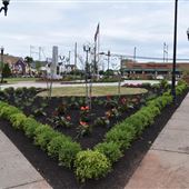 War Memorial Park