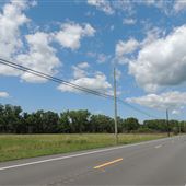Cape May County Farm Roads - County Rt. 557 (Washington Ave.)