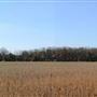 Sussex County Farm Roads - Creek Road, Green Township