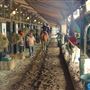 Monmouth Park Stables