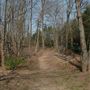 Fox Hill Reserve