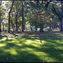 Glenfield Park