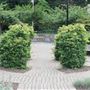 Verona Park - Children's Garden