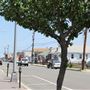 Seaside Heights Downtown