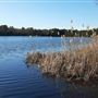 Malaga Lake