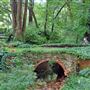 Bonnie's Bridge