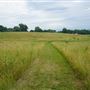 Dvoor Farm - Nature Preserve