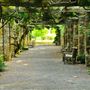 The Cross Estate Gardens