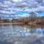 Ringwood State Park - Sally's Pond