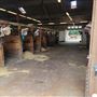 Union County Stables