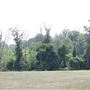 Tatum Park
